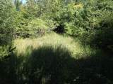 TBD8.5 County Road 106 - Photo 23