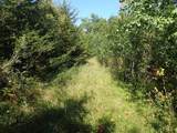 TBD8.5 County Road 106 - Photo 27
