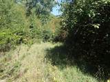 TBD8.5 County Road 106 - Photo 28