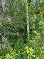 TBD 7 Acres County Road 107 - Photo 5