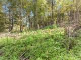 Lot 2 1240th Avenue - Photo 12