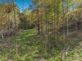 Lot 2 1240th Avenue - Photo 4