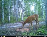 TBD County Road 3 - Photo 6