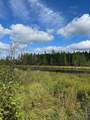 TBD County Road 3 - Photo 9