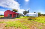 48798 Pansy Landing Road - Photo 30