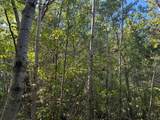 TBD 377th Street - Photo 9