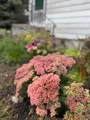 328 13th Ave - Photo 15