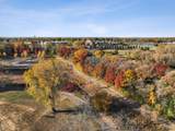 13161 Avery Way - Photo 32