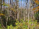 Lt 2 Blk 1 County Rd 238 - Photo 8