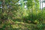 21.8 Acres Hwy 371 - Photo 11