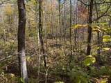 TBD County Road 12 - Photo 5