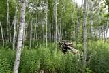 18625 Skunk Lake Road - Photo 33