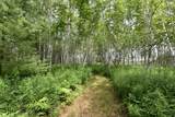 18625 Skunk Lake Road - Photo 34
