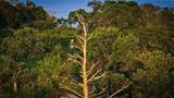1 Birch Island - Photo 38