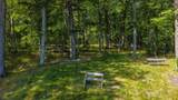 35480 Whitetail Avenue - Photo 39