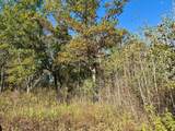 TBD County Rd. 8 - Photo 5