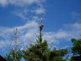 5568 50th Street - Photo 88