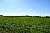 TBD County Road - Photo 3