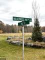 LOT 1 Wilderness Hills Lane - Photo 8