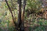 TBD 230th Street - Photo 12