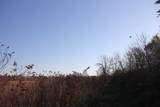 TBD 230th Street - Photo 25
