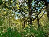 TBD Garves Road - Photo 37