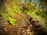 TBD Garves Road - Photo 42