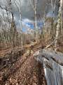 TBD Wilderness Way - Photo 16