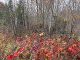 TBD Wilderness Way - Photo 19