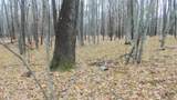 Lot 7 Herman Johnson Rd - Photo 10