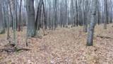 Lot 7 Herman Johnson Rd - Photo 5