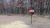 LOT 8 Herman Johnson Rd - Photo 2