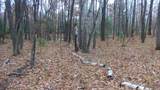 LOT 8 Herman Johnson Rd - Photo 8