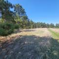 510 Thumper Lodge Road - Photo 7