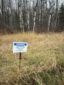 TBD Townline Rd - Photo 4
