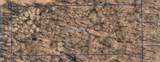 XXXX Xerus Street - Photo 3