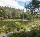 22510 Spider Island - Photo 7