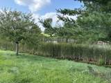 TBD Cattail Lane - Photo 5