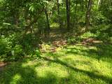 4570 Pine Point Drive - Photo 10