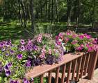 4570 Pine Point Drive - Photo 9