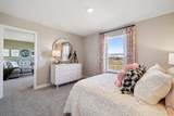 811 Foxglove Terrace - Photo 34