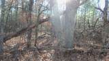 Lot 3 Ferry Rd - Photo 4
