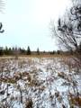 Lot 4 - TBD 330th Street - Photo 10