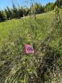 Lot 4 - TBD 330th Street - Photo 12