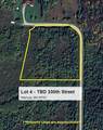Lot 4 - TBD 330th Street - Photo 14
