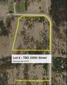 Lot 4 - TBD 330th Street - Photo 18