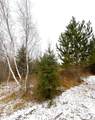 Lot 4 - TBD 330th Street - Photo 8