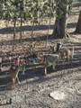 1135 1st Street - Photo 49