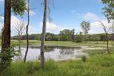 11468 Blazingstar Court - Photo 2