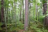 TBD Gravdahl Drive - Photo 4